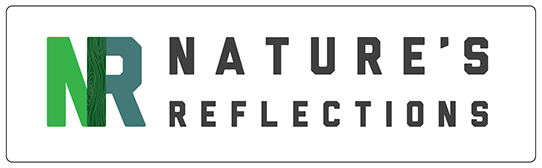 Natures Reflection Logo